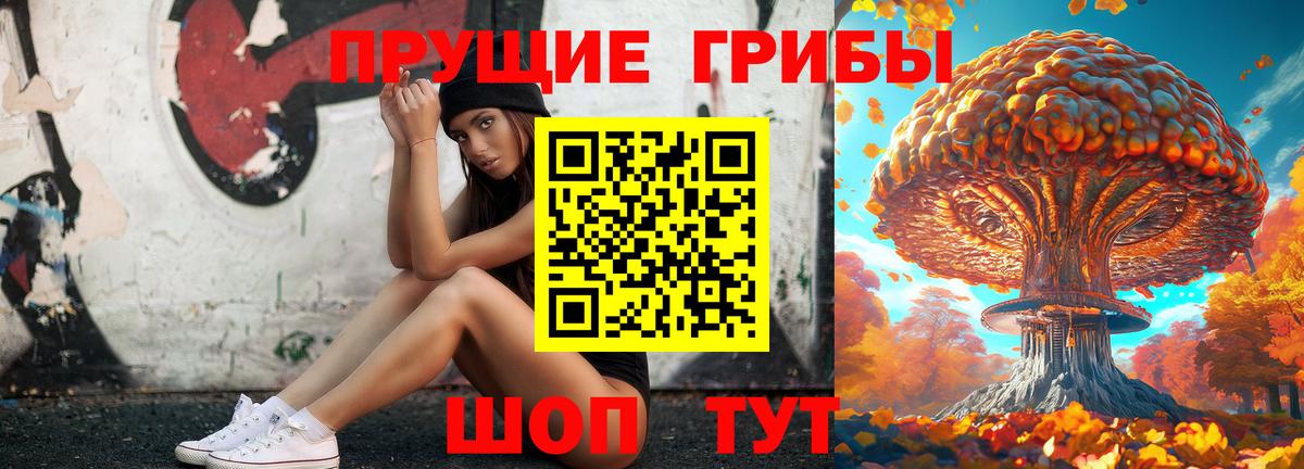Псилоцибиновые грибы Psilocybe  Вход с VPN  Галлюциногенные грибы Psilocybe  Кулебаки 