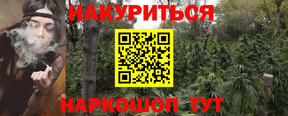 Каннабис Bruce Banner  Конопля конопля  Кулебаки  Бошки марихуана планчик  Вход с VPN 